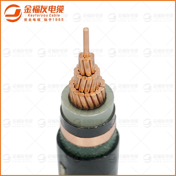 金福友官网主图-YJV-8.7-15KV-1X240-1