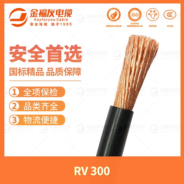 金福友产品-7.11-RV-300