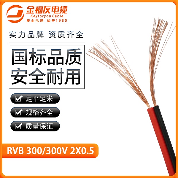 金福友产品-4.3-RVB-300-300V-2X0.5