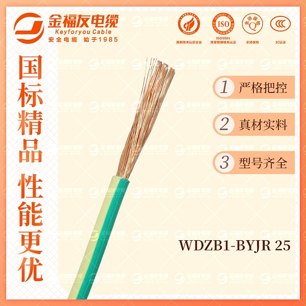 金福友产品-10.9-WDZB1-BYJR-25