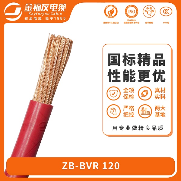 金福友产品-6.24-ZB-BVR-120