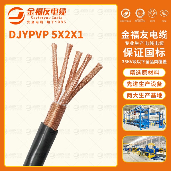 金福友产品-8.21-DJYPVP-5X2X1