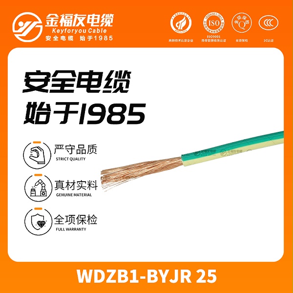 金福友产品-12.4-WDZB1-BYJR-25