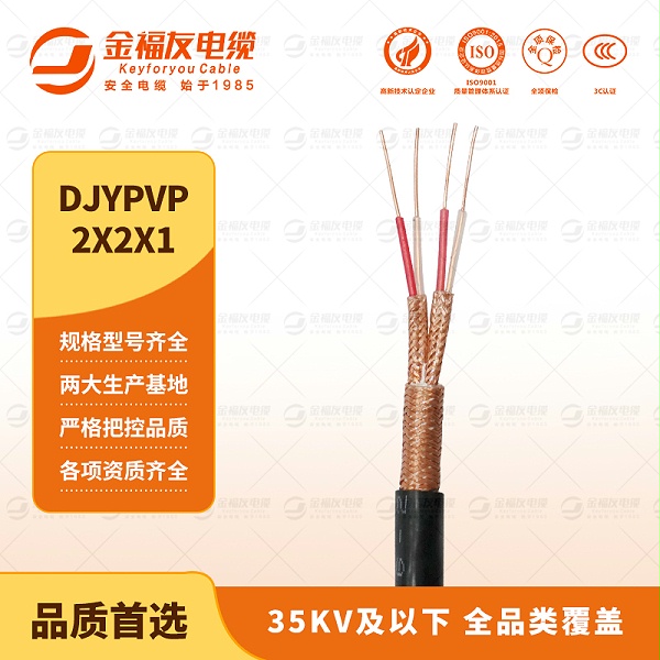 金福友产品-9.10-DJYPVP-2X2X1