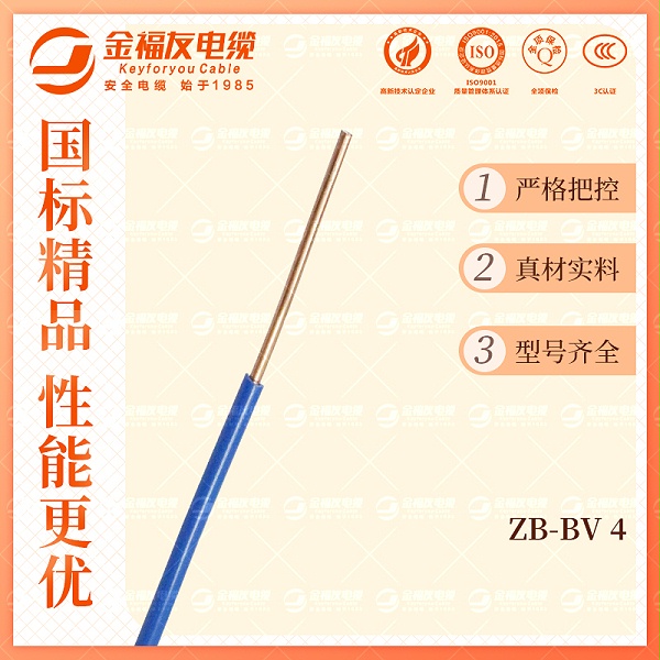 金福友产品-10.9-ZB-BV-4