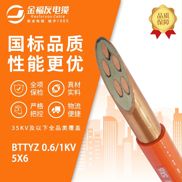 金福友产品-3.4-BTTYZ-0.6-1kV-5X6