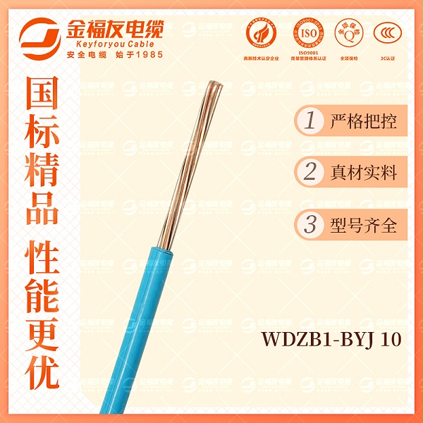 金福友产品-10.9-WDZB1-BYJ-10